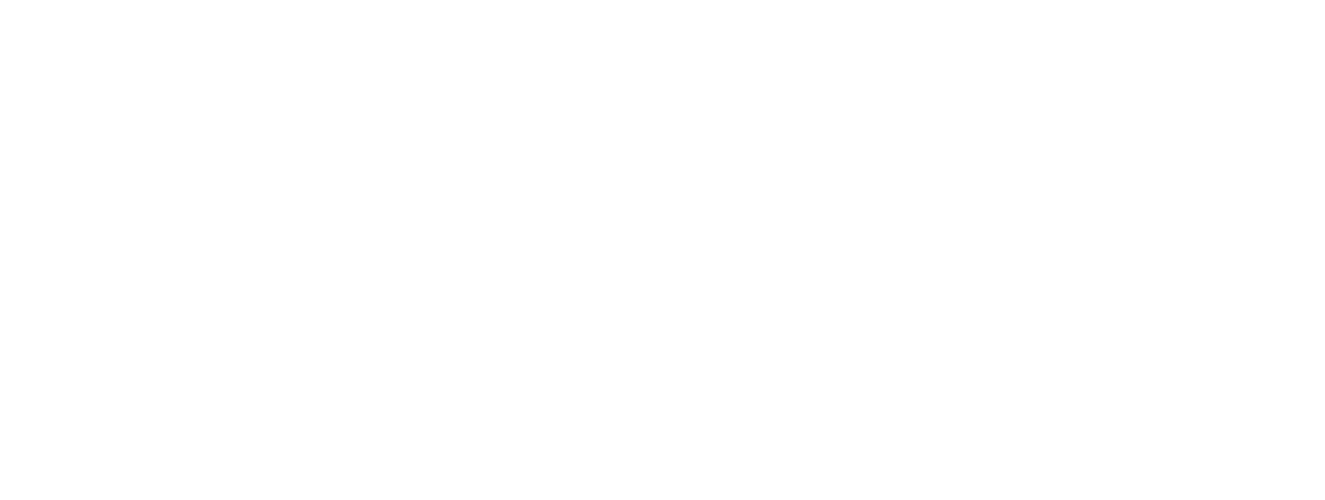 NVS